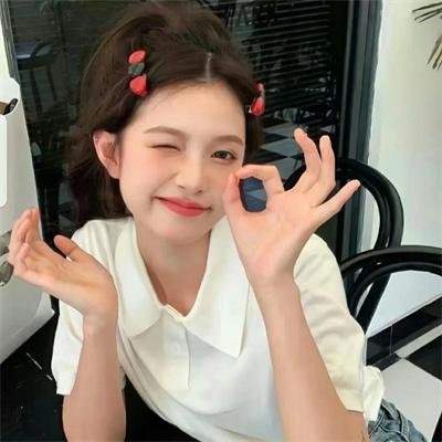 机战少女 Alice Expansion