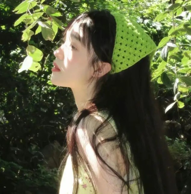 阿尔卑斯山的少女 (迷你剧)