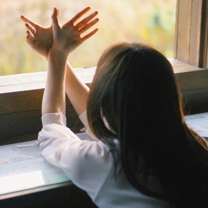 养猪场的奇迹国语